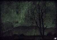 Notturno invernale con albero spoglio